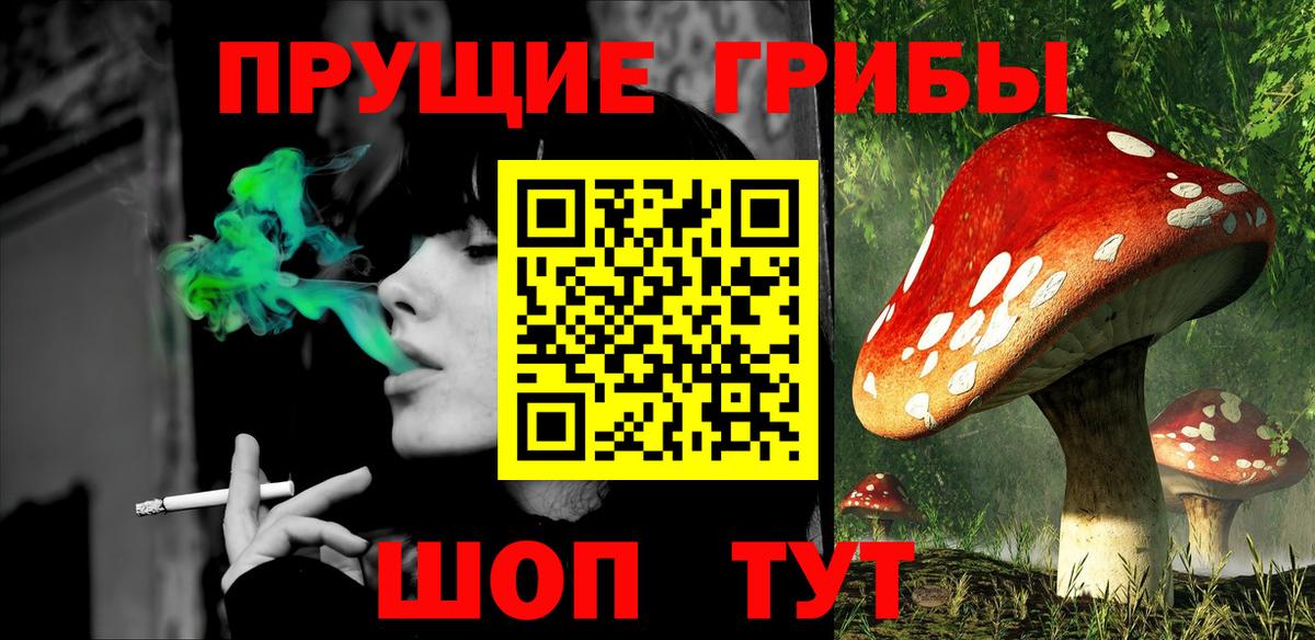 Псилоцибиновые грибы MAGIC MUSHROOMS  Вход с VPN  Ишим 